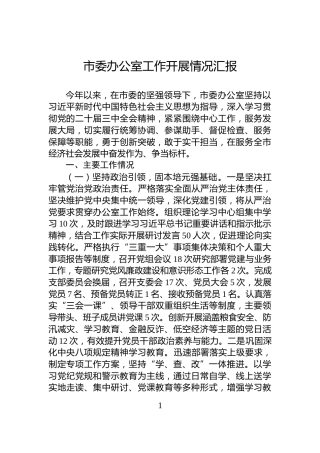 市委办公室工作开展情况汇报