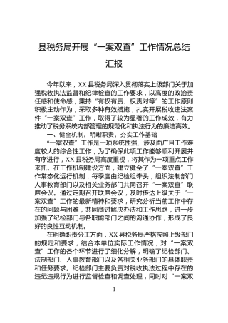 县税务局开展“一案双查”工作情况总结汇报