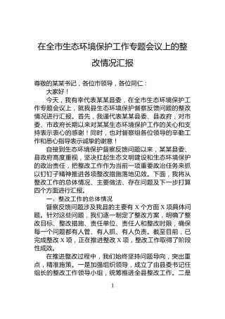 在全市生态环境保护工作专题会议上的整改情况汇报