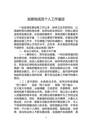 巡察组成员个人工作鉴定