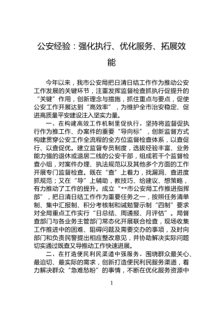 公安经验：强化执行、优化服务、拓展效能