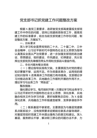党支部书记抓党建工作问题整改方案