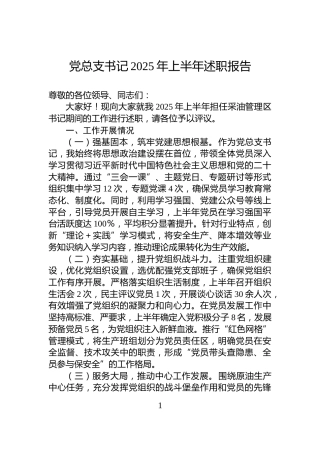 党总支书记2025年上半年述职报告