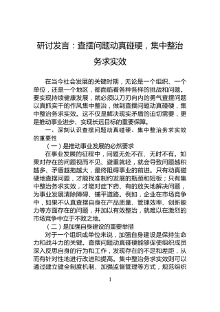 研讨发言：查摆问题动真碰硬，集中整治务求实效