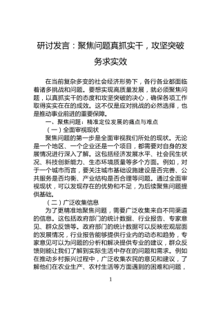 研讨发言：聚焦问题真抓实干，攻坚突破务求实效