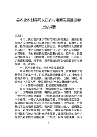 县农业农村局局长在农村电商发展推进会上的讲话