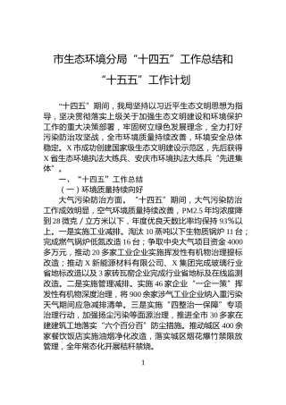 市生态环境分局“十四五”工作总结和“十五五”工作计划