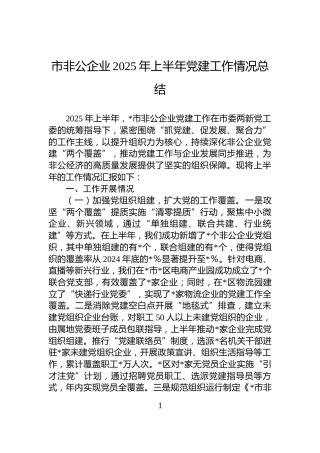 市非公企业2025年上半年党建工作情况总结