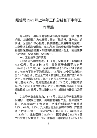 经信局2025年上半年工作总结和下半年工作思路