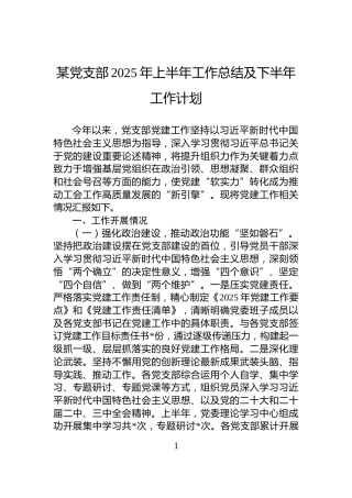 某党支部2025年上半年工作总结及下半年工作计划