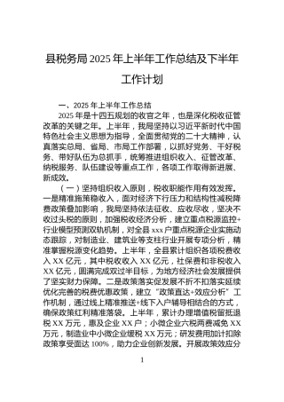县税务局2025年上半年工作总结及下半年工作计划