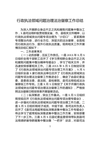 行政执法领域问题治理法治督察工作总结