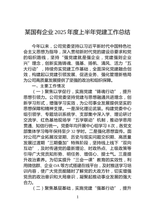 某国有企业2025年度上半年党建工作总结