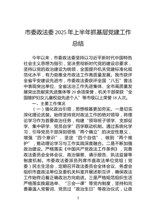 市委政法委2025年上半年抓基层党建工作总结