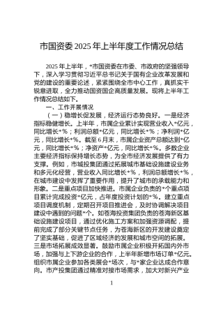 市国资委2025年上半年度工作情况总结