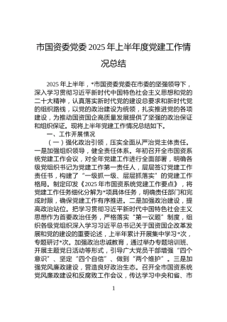 市国资委党委2025年上半年度党建工作情况总结