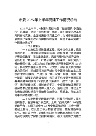市委2025年上半年党建工作情况总结