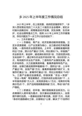 乡2025年上半年度工作情况总结