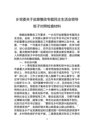 乡党委关于巡察整改专题民主生活会领导班子对照检查材料