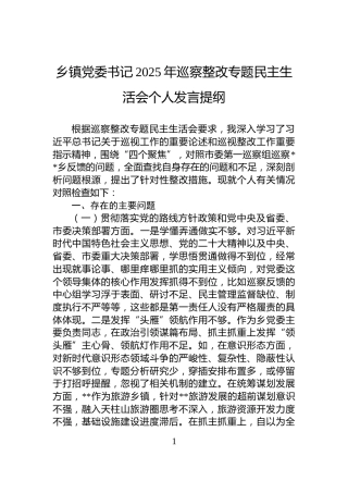乡镇党委书记2025年巡察整改专题民主生活会个人发言提纲