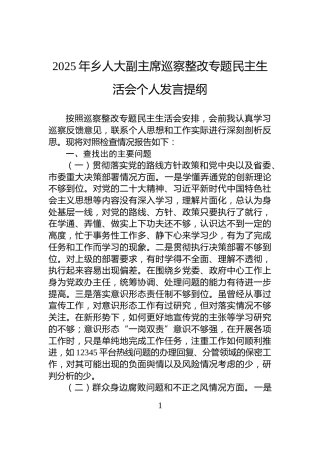 2025年乡人大副主席巡察整改专题民主生活会个人发言提纲