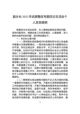 副乡长2025年巡察整改专题民主生活会个人发言提纲