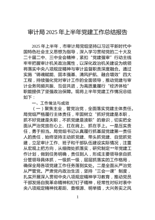 审计局2025年上半年党建工作总结报告