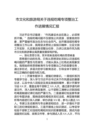 市文化和旅游局关于违规吃喝专项整治工作进展情况汇报