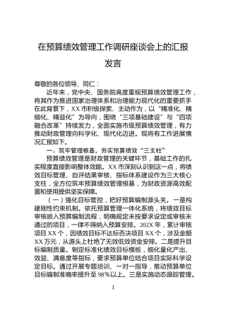 在预算绩效管理工作调研座谈会上的汇报发言