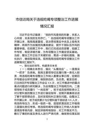 市信访局关于违规吃喝专项整治工作进展情况汇报