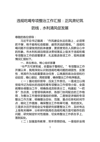 违规吃喝专项整治工作汇报：正风肃纪筑防线，水利清风促发展