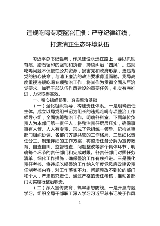 违规吃喝专项整治汇报：严守纪律红线，打造清正生态环境队伍