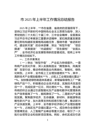 市2025年上半年工作情况总结报告