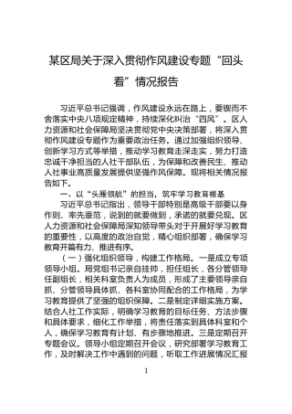某区局关于深入贯彻作风建设专题“回头看”情况报告