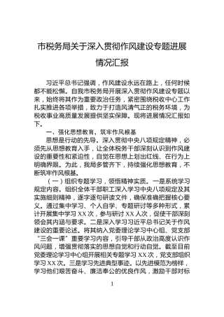 市税务局关于深入贯彻作风建设专题进展情况汇报
