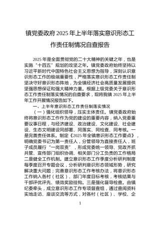 镇党委政府2025年上半年落实意识形态工作责任制情况自查报告