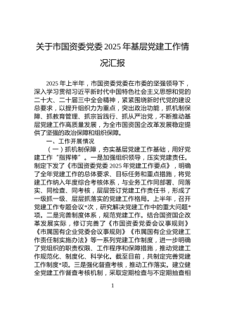 关于市国资委党委2025年基层党建工作情况汇报