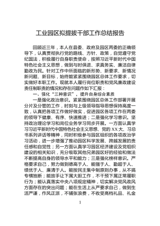 工业园区拟提拔干部工作总结报告