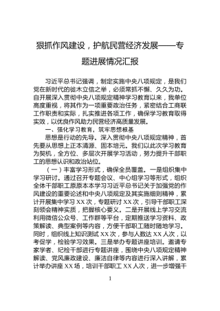 狠抓作风建设，护航民营经济发展——专题进展情况汇报