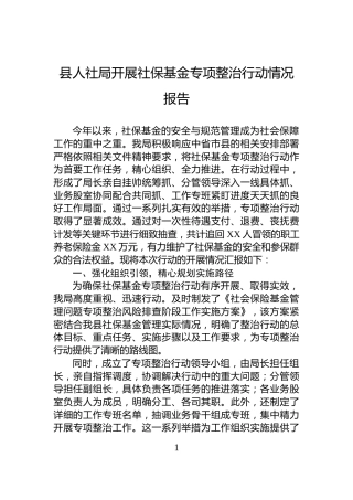 县人社局开展社保基金专项整治行动情况报告