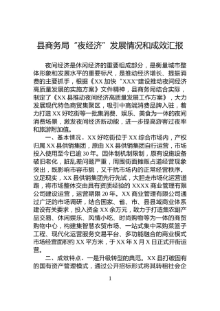 县商务局“夜经济”发展情况和成效汇报