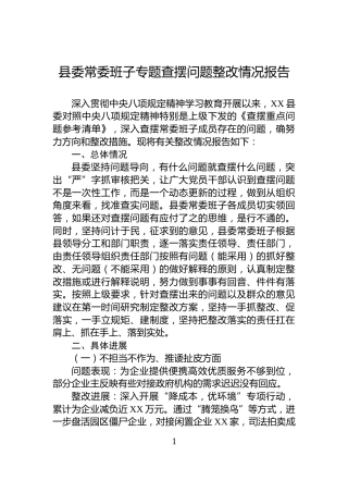 县委常委班子专题查摆问题整改情况报告