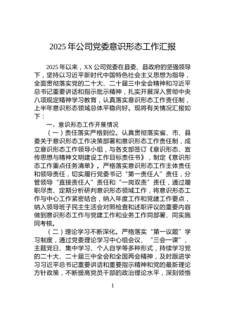 2025年公司党委意识形态工作汇报
