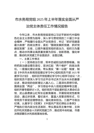 市水务局党组2025年上半年落实全面从严治党主体责任工作情况报告