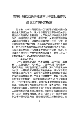 市审计局党组关于推进审计干部队伍作风建设工作情况的报告