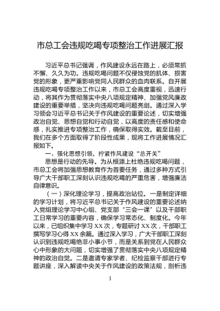 市总工会违规吃喝专项整治工作进展汇报