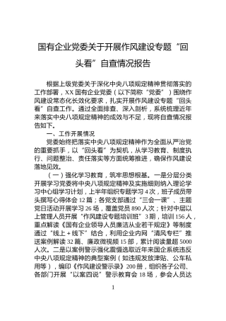 国有企业党委关于开展作风建设专题“回头看”自查情况报告