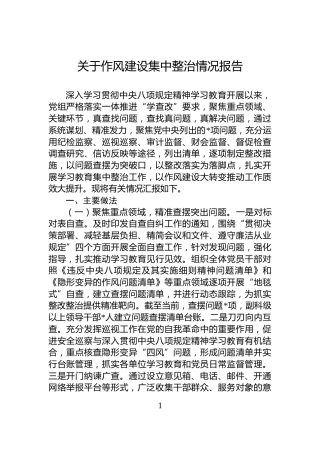 关于作风建设集中整治情况报告