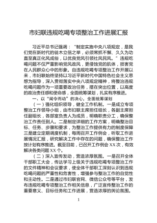 市妇联违规吃喝专项整治工作进展汇报