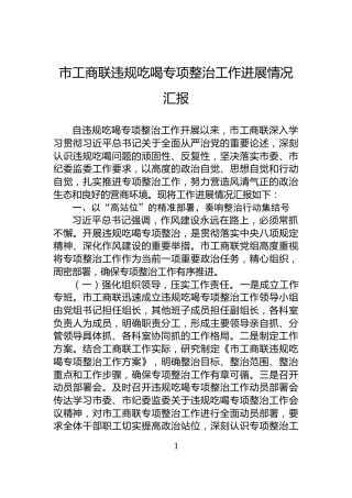 市工商联违规吃喝专项整治工作进展情况汇报